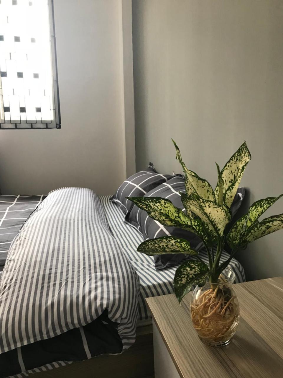 הו צ'י מין סיטי Meowies Homestay מראה חיצוני תמונה