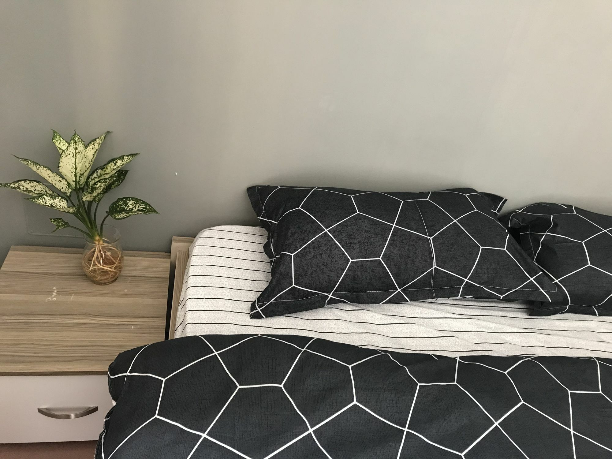 הו צ'י מין סיטי Meowies Homestay מראה חיצוני תמונה
